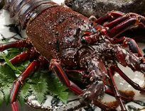 【クリスマスディナー】 乾杯ワイン付 黒毛和牛ステーキ 活け伊勢海老 とらふぐ鉄板焼ウニ添え、お2人様用