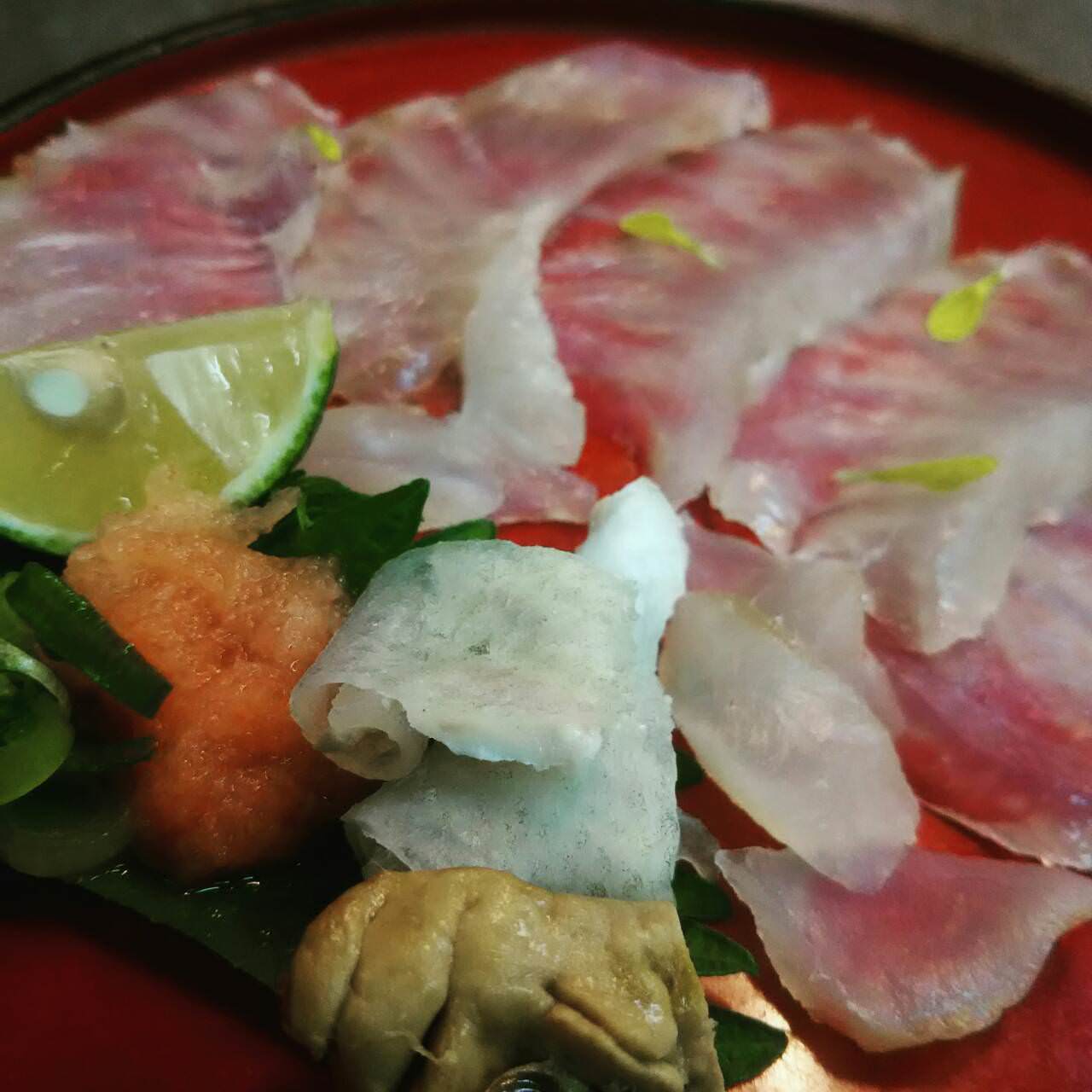 マグロとせいろ蒸し料理 勝浦 コース 接待 飲み会 高級魚 クエを手軽に楽しむ 程好く脂が乗った上品な旨み 活クエ鍋お手軽コース ぐるなび マグロとせいろ蒸し料理 勝浦 コース 接待 飲み会 高級魚 クエを手軽に楽しむ 程好く脂が乗った上品な旨み 活クエ鍋お手軽コース ぐるなび