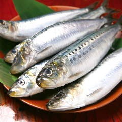 鰯組