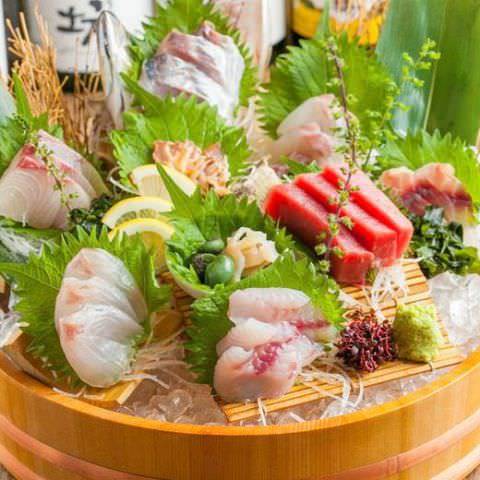 海鮮個室 日本酒 目から鱗 松山本店 松山 居酒屋 ぐるなび
