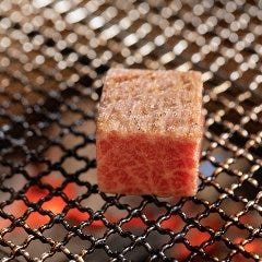 祇園 なん波 祇園 懐石 懐石料理 ぐるなび 祇園 なん波 祇園 懐石 懐石料理 ぐるなび