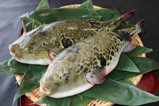 心斎橋でふぐ料理が食べられるおすすめ店4選