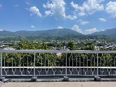 金剛山を見渡せるテラス席は絶景