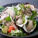 時期により仕入れるルートを変えて提供する大粒の牡蛎は、北海道のミルク牡蛎♪