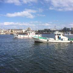 生シラス丼定食