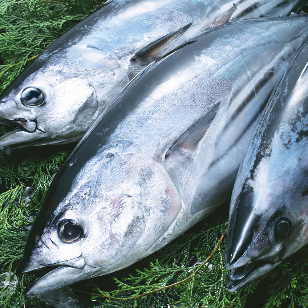 日本酒と個室居酒屋 まぐろ奉行とかに代官 新橋店 自慢の食材 ぐるなび