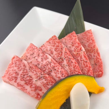 食べ放題 国産牛手切り焼肉 ミート・ミート 豊洲枝川店 メニューの画像