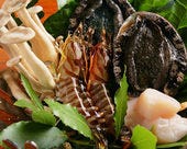 【魚介ディナーコース】「極上・黒毛牝和牛 フィレステーキ」、「貝柱トリュフバター焼き」、「車海老焼き
