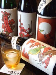 ↑最近人気の梅酒↑ おいしぃですよ～！！