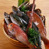 鮮魚は中央市場、小浜漁港直送！