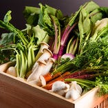 提携農家からの新鮮野菜を仕入れ【北海道】