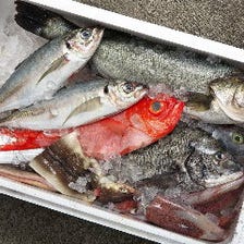 地元・播磨灘で捕れる新鮮な鮮魚