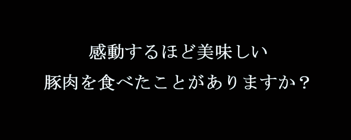 イベリコ豚おんどる焼 裏渋屋