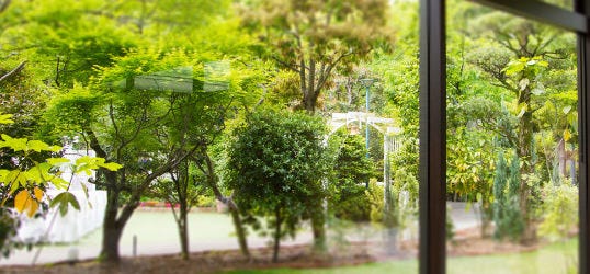 セゾンダイニングロータスガーデン