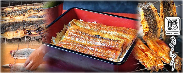 鰻 きらり