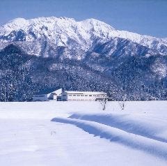 水と雪と大地がつくる魚沼の天地。魚沼ならではの銘酒は絶品。