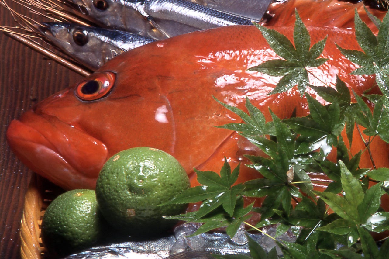 旬の魚と炙り焼き 月まる海 大橋店 こだわり情報2 ぐるなび