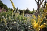 季節の草花が楽しめる700坪のイングリッシュガーデン。ガーデンの奥からソレイユを眺めた写真です。
