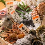 北海道や高知の漁港直送＆毎朝中央市場仕入れの鮮魚が揃います！