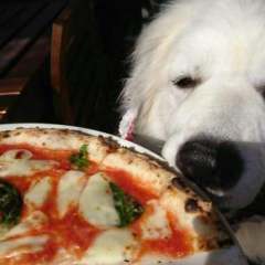 Pizzeria Icaro ピッツェリアイーカロ 奈良市 ピザ ぐるなび Pizzeria Icaro ピッツェリアイーカロ 奈良市 ピザ ぐるなび
