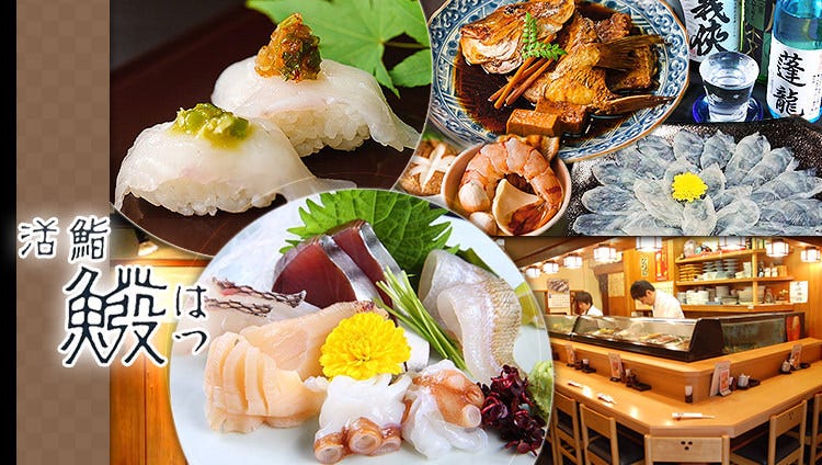 活鮨 魚發（はつ） 神戸三宮