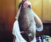 活鮨 魚發（はつ） 神戸三宮_おすすめメニュー No.2