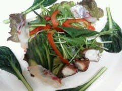 活鮨 魚發（はつ） 神戸三宮_神戸旬菜サラダ清盛特性ドレッシングでどうぞ！