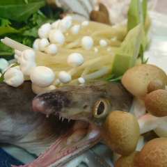 活鮨 魚發（はつ） 神戸三宮_