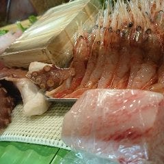 活鮨 魚發（はつ） 神戸三宮_