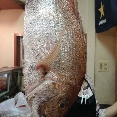活鮨 魚發（はつ） 神戸三宮_