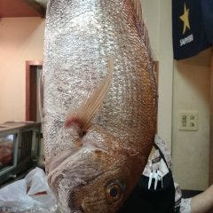 活鮨 魚發（はつ） 神戸三宮_