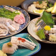 活鮨 魚發（はつ） 神戸三宮_