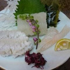 活鮨 魚發（はつ） 神戸三宮_