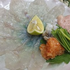 活鮨 魚發（はつ） 神戸三宮_