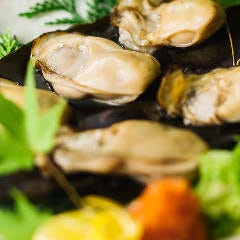 活鮨 魚發（はつ） 神戸三宮_
