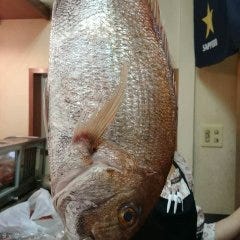 活鮨 魚發（はつ） 神戸三宮_