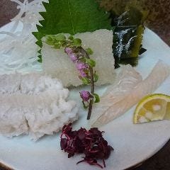 活鮨 魚發（はつ） 神戸三宮_