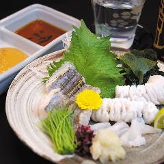 活鮨 魚發（はつ） 神戸三宮_厳選した四季折々の味覚を堪能
