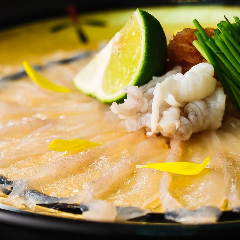 活鮨 魚發（はつ） 神戸三宮_夏は鱧、冬はフグ等選りすぐりの鮮魚