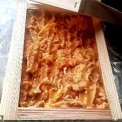 活鮨 魚發（はつ） 神戸三宮_