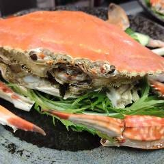 活鮨 魚發（はつ） 神戸三宮_