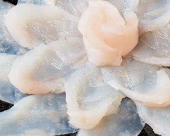 活ふぐ料理 たてもと