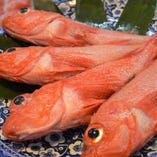 歓送迎会等の夏のお集まりに！夏の高級焼魚入コース【個室確約】￥8470