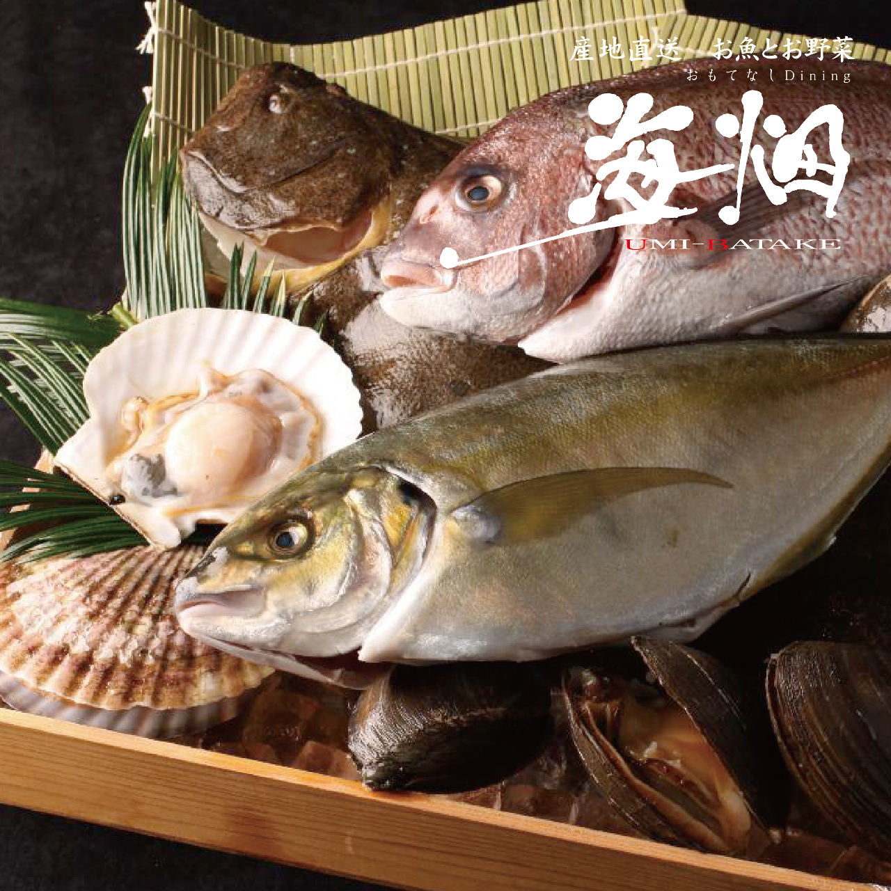 産地直送 和食と個室 海畑 うみばたけ 写真 ぐるなび