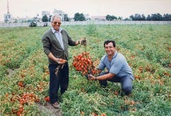 イタリアの契約農場で作られたトマトを使ったソースです！
