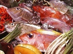 琉旬彩食 土煌 豊崎店