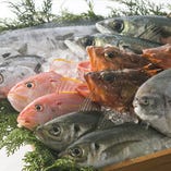 直送鮮魚を使用！毎日日替わりでその日美味しい鮮魚のお刺身をご用致します。四国愛媛産、相模湾小田原産鮮魚を仕入れています。