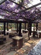 ［カフェ＆バーベキュー］ガーデンカフェ＆バーベキュー ベルトゥリーの画像