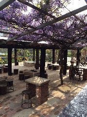 ガーデンカフェ＆バーベキュー ベルトゥリー 