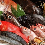川崎北部市場で毎朝仕入れる鮮魚が自慢！名物「極み盛り」でぜひ